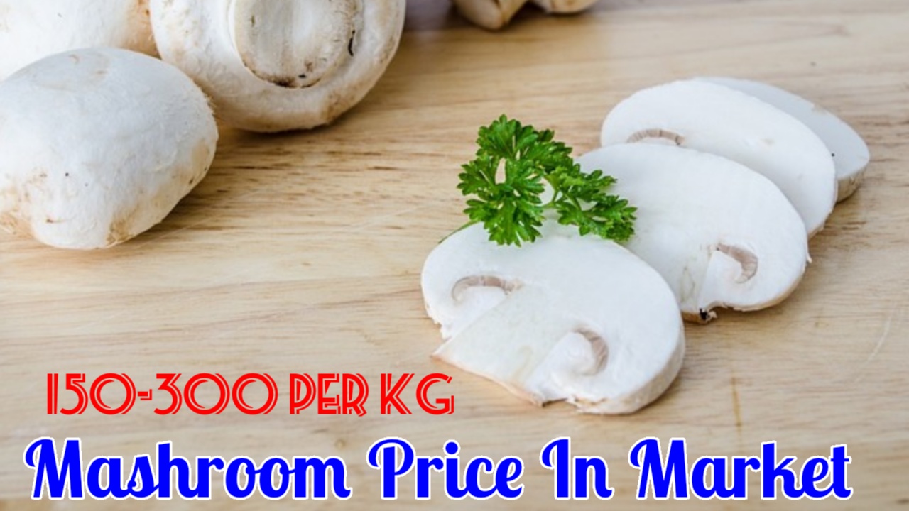 How to Start Mushroom Farming | Scope of Mushroom Cultivation in India
