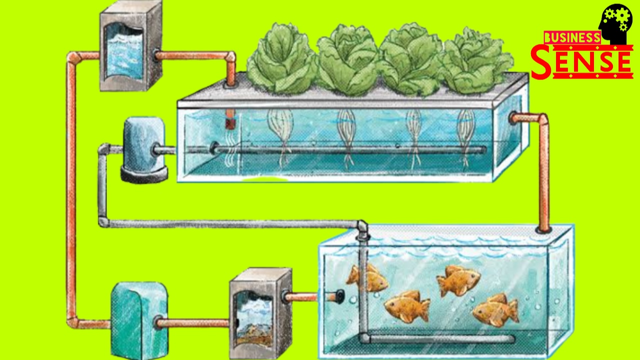 aquaponic farming business plan in india
